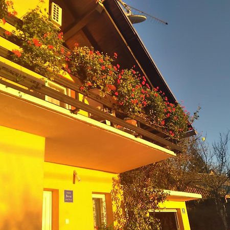 House Jelena&Marija Apartment Раковица Екстериор снимка