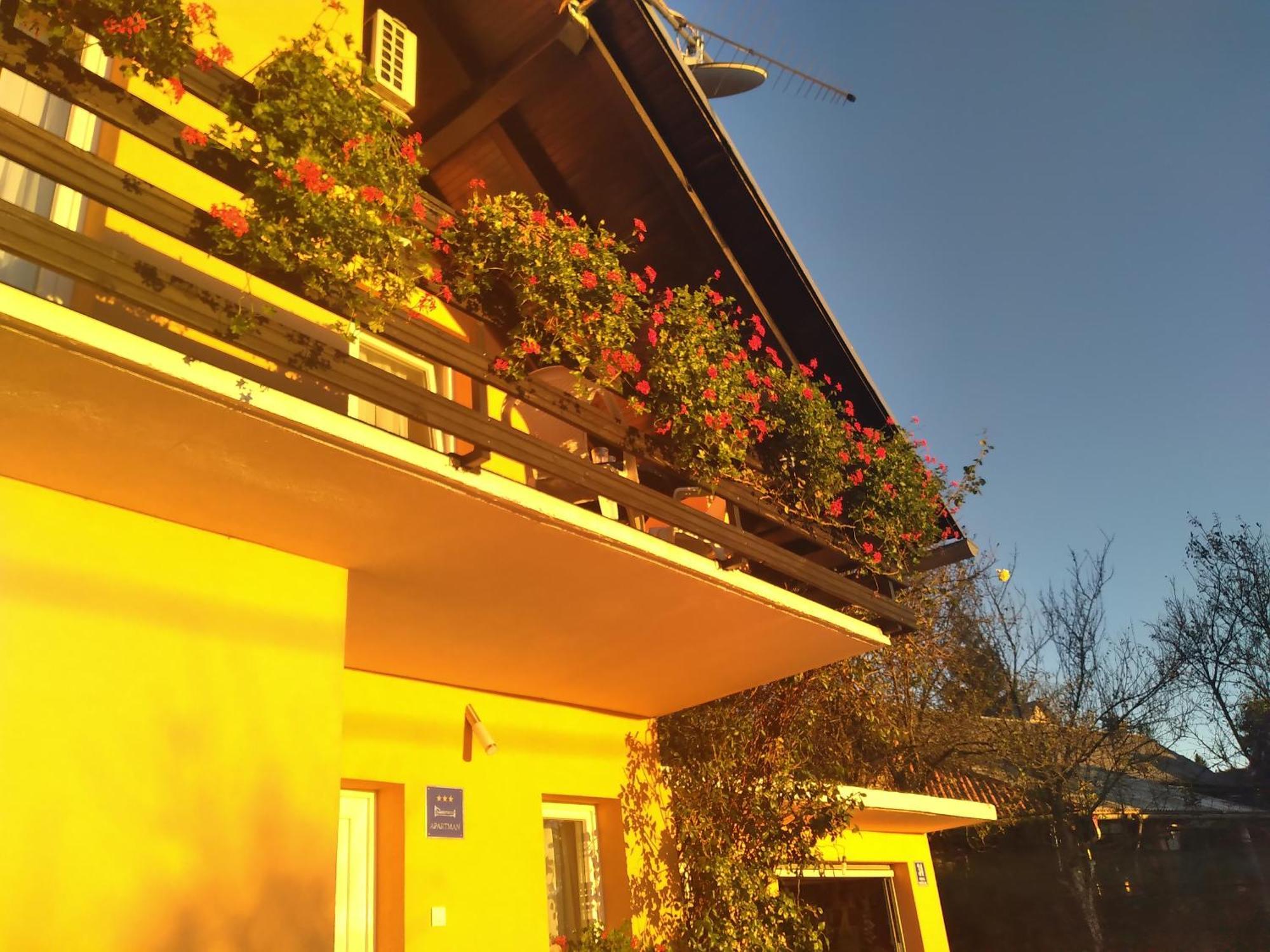 House Jelena&Marija Apartment Раковица Екстериор снимка